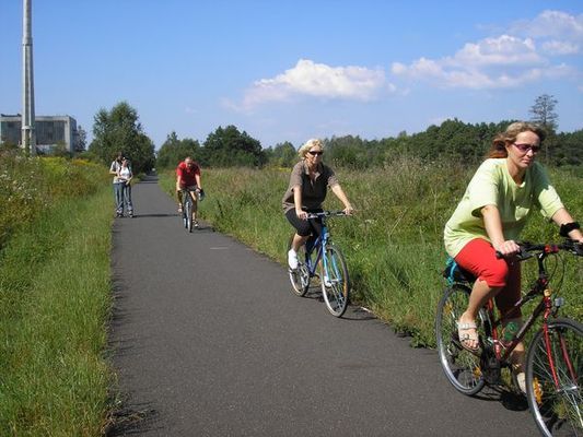 Cyklisti u České Lípy | Foto: Aktuálně.cz