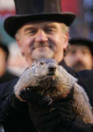 Od roku 1887 prý Phil předpověděl už téměř stokrát, že mráz v severní Americe ještě potrvá. | Foto: Reuters