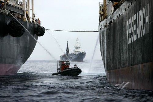 Greenpeace proti velrybaření. | Foto: Greenpeace