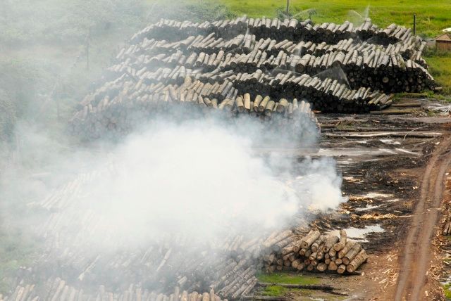 Letecký pohled ne jednu z pil v Tailandii. | Foto: Reuters