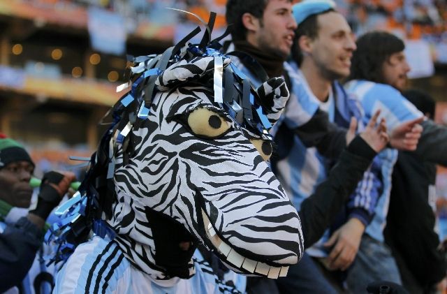 Věřrte, nebo ne, ale tahle zebra fandí Argentině. | Foto: Reuters