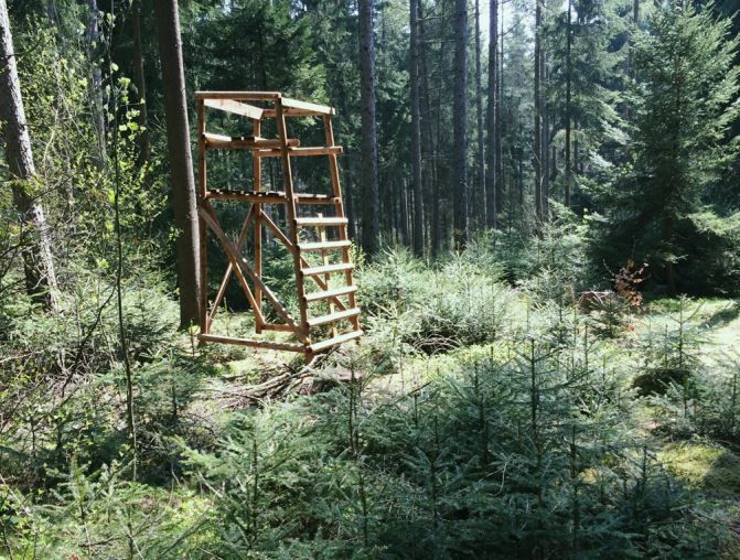 Podle Janoty mají navíc vlastníci i nájemci pozemků možnost podle zákona o myslivosti požadovat po státní správě nařídit uživateli honitby snížení stavů zvěře či ukončení chovu některého druhu, pokud to vyžaduje například stav lesa. | Foto: Pro Silva Bohemica