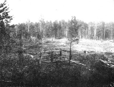 Těla polili kyselinou a pak zakopali. | Foto: Reprofoto / Kniha N.A.Sokolov  "The Murder of  The Tsar Family" z roku 1924 / www.fund-memory-romanov.me-ga.ru