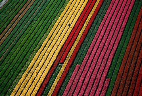 Foto: Yann Arthus Bertrand