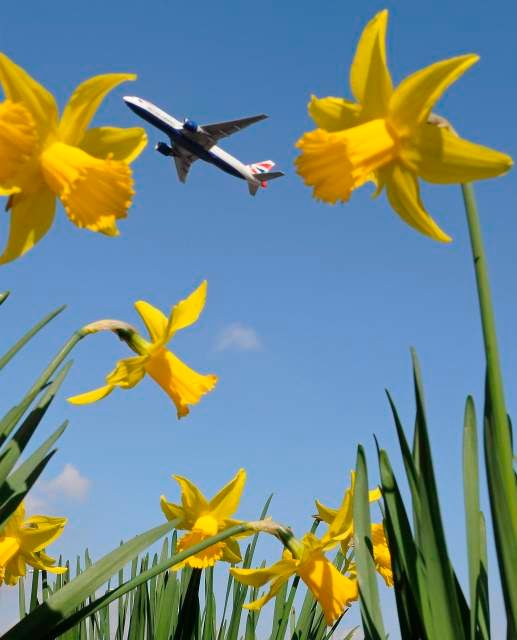 Letadlo British Airways odlétá z letiště Heathrow v západním Londýně, 21. března 2010. Evropská unie vede rozhovory s Britskými aerolinkami ohledně ukončení stávky, která vyústila v rušení stovky letů a narušila plány tisícům cestujících. | Foto: Reuters