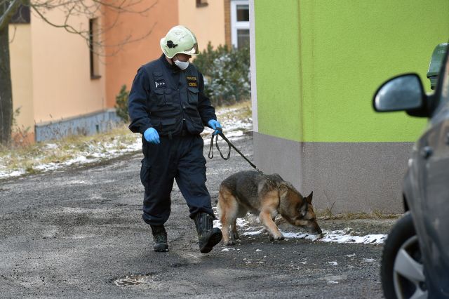 Policejní vyšetřovatel se psem ohledávají po požáru okolí domu pro osoby s mentálním a kombinovaným postižením. Vejprty, 19. ledna 2020. | Foto: Slavomír Kubeš