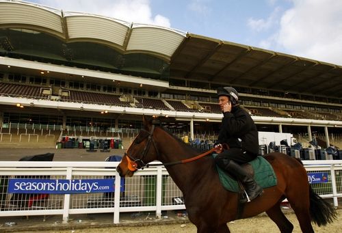 Žokej telefonuje v sedle před prázdnými tribunami. Slavný Cheltenham Festival by ve středu přerušen. | Foto: Reuters