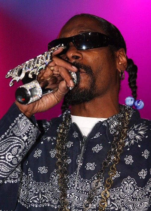 Později večer přichází samotný SNOOP DOGG a v předních řadách začíná být velmi těsno... | Foto: Tomáš Adamec, Aktuálně.cz