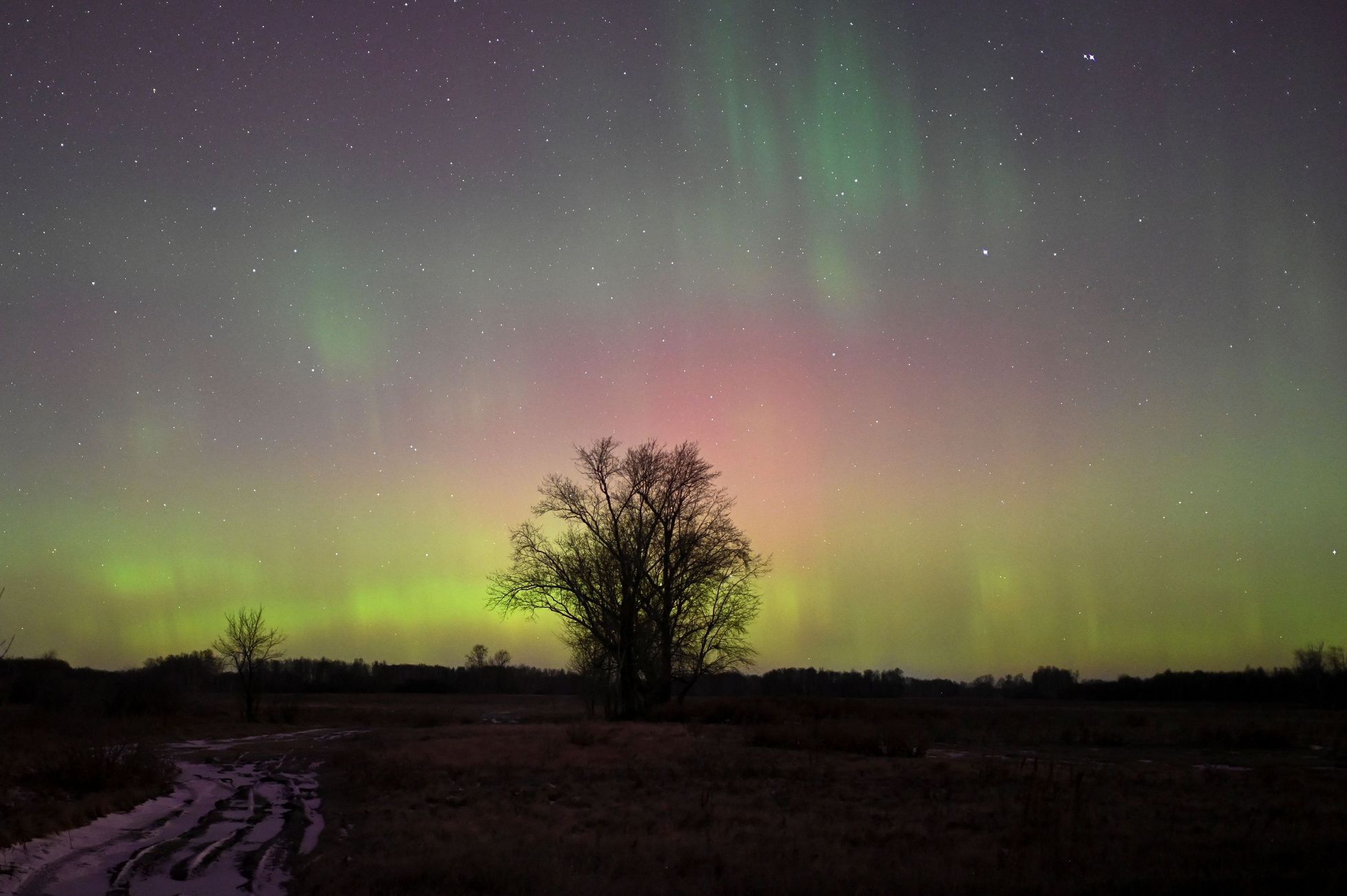 The aurora borealis will be visible over the Czech Republic at night, scientists warn