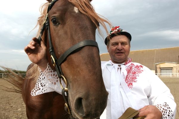 Stejně jako víno jsou jeho celoživotní láskou Kladrubští koně, jako tento vzácný ryzák, který je podle Nešpora jediný této barvy v republice a možná i na světě. I jeho přežití podle svých slov dotuje mimo jiné i z prodeje burčáku. | Foto: Karel Toman