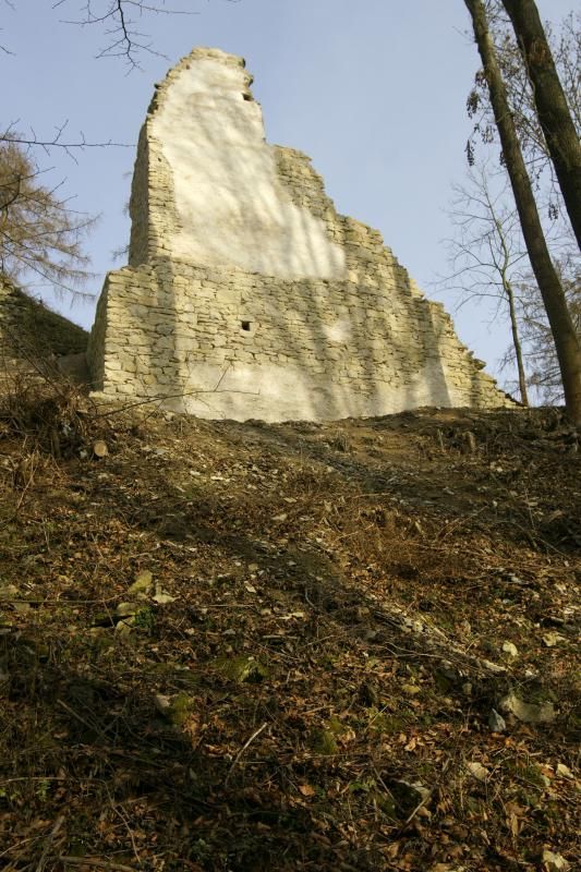 Nominace v kategorii Záchrana a obnova památky: Záchrana jihovýchodního torza zříceniny hradu Brandýs nad Orlicí. Na fotografii stav po obnově... | Foto: Fotoarchiv Národního památkového ústavu