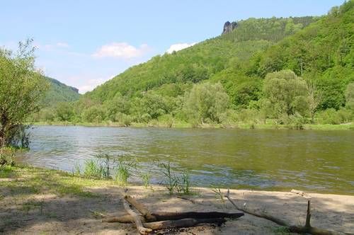 CHKO Labské pískovce - kaňon Labe | Foto: Správa CHKO Labské pískovce