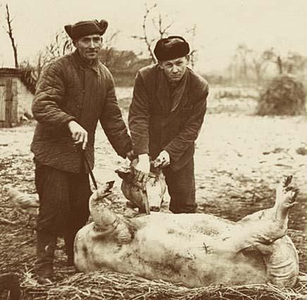 Obyvatelé Malína před vypálením. | Foto: Archiv Josef Řepík / www.mashlinecko.cz