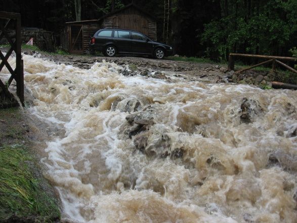 Lesní potůček Horní Lysečiny na Trutnovsku | Foto: Bohumil Švec