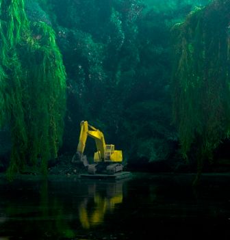 Edwin Zwakman: Pond, 2013. | Foto: Galerie Rudolfinum