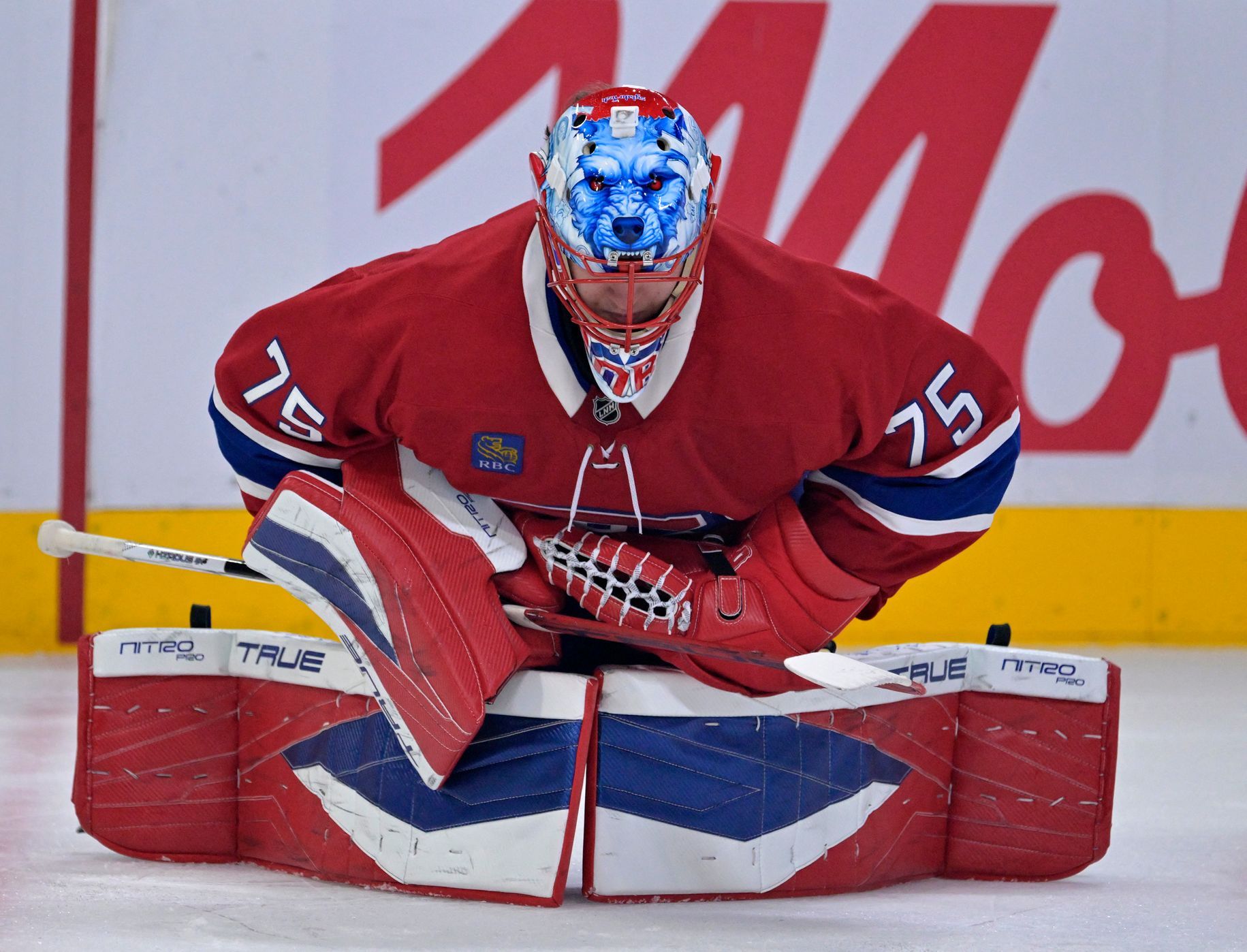 Czech Discovery Stuns Montreal | New #1 Contender