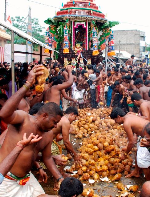 Srílanští hinduisté rozbíjejí kokosy na znamení pokáni, Vavunija | Foto: Reuters