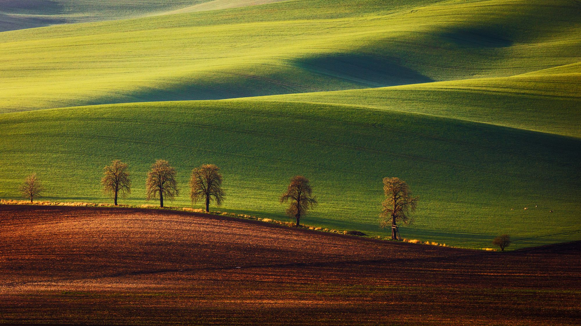 Obrazem: Krásy české krajiny objektivem fotografa Martina Raka ...