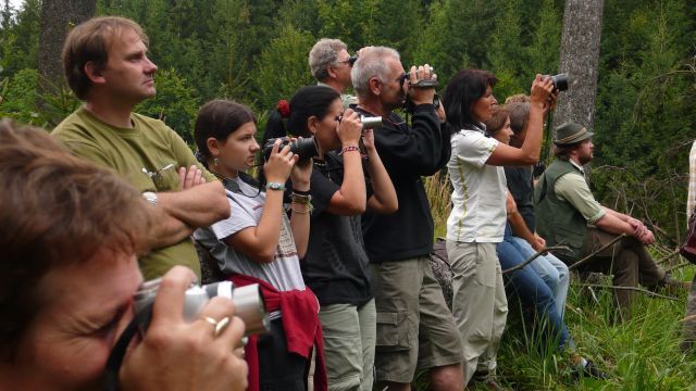 Orlí voliéra pod palbou fotoaparátů. | Foto: Ondřej Netočný