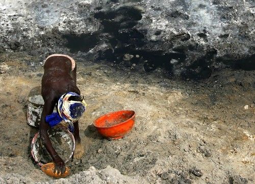 Tohle je osmiletý chlapec Madelaine Dog... | Foto: Reuters