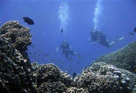 Potápěči v korálovém ráji, pobřeží Zanzibaru. | Foto: REUTERS/Finbarr O'Reilly