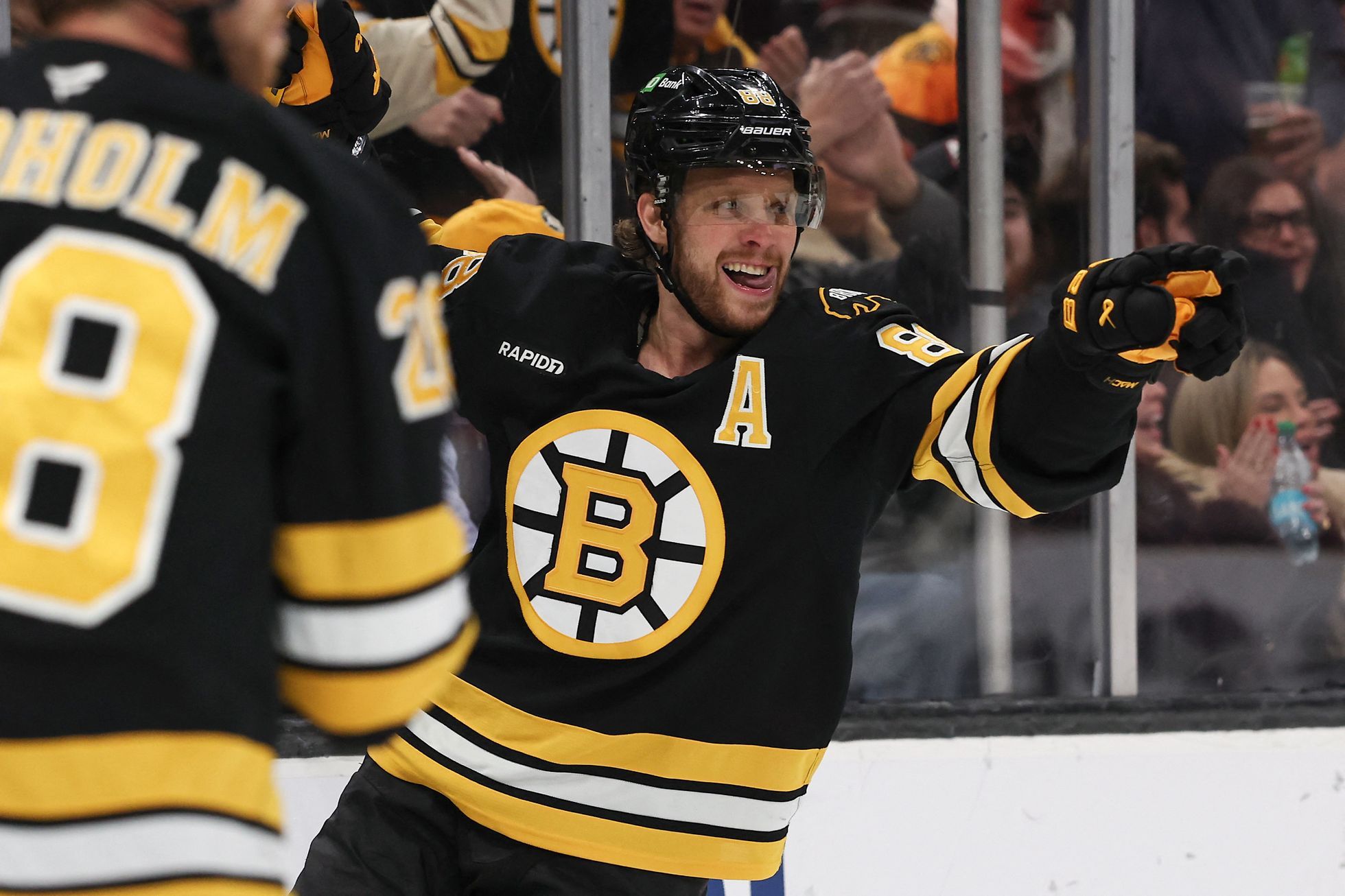 Pastrnak & Hertl: Stanley Cup Stars & Key Plays