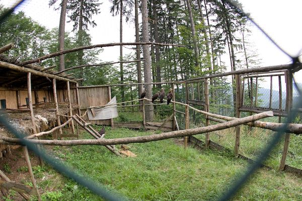 Za pár okamžiků už tu bude pusto a prázdno. | Foto: Petr Sznapka