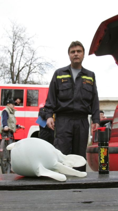 Pepřový sprej rozprášili ve škole údajně tři bývalí žáci. | Foto: Aktuálně.cz