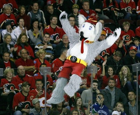 Maskot Calgary Harvey the Hound | Foto: Sport