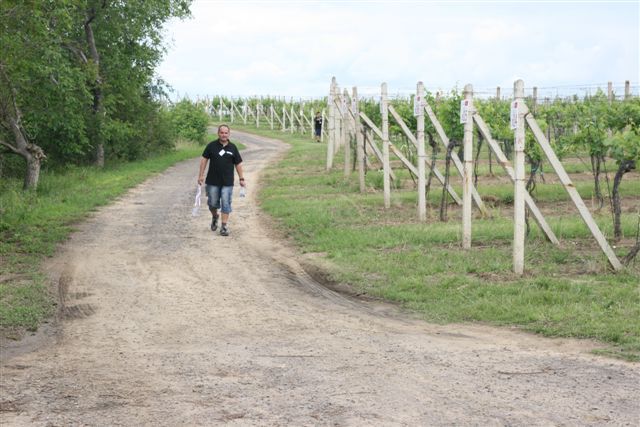 Vše je nachystáno. Lidé, kteří se stanou patrony hlavy na vinici, mohou vinohrad stříhat, okopat ho a pak si koupit víno, na jehož pěstování a výrobě se podíleli. | Foto: Tomáš Fránek