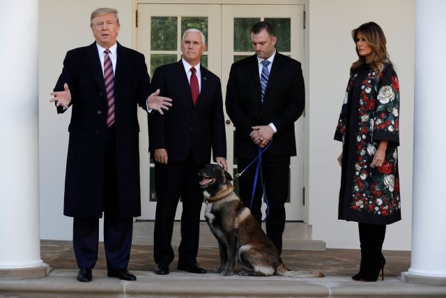 Bývalý americký prezident Donald Trump žádné zvíře neměl. Sám v rozhovoru řekl, že psa, který je nejčastějším zvířetem prezidentů, nemá, protože mu jeho vlastnictví přijde "předstírané". Pes na fotografii patří americké armádě a v roce 2019 pomohl dopadnout vůdce teroristické organizace Islámský stát abú Bakra Bagdádího. | Foto: ČTK