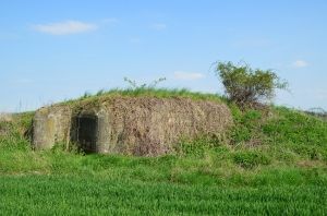 Tento řopík se nachází asi 100 metrů za severním okrajem obce Sádek u Opavy, v zemědělsky obhospodařovaném lánu cca 150 metrů vpravo od silnice III. třídy směrem na Velké Heraltice, po které je zároveň vedena cyklostezka „Radegast Opava“. Přímo u ní je odpočinkové místo cyklostezky a dva pomníky obětem I. a II. světové války. Stát cenu řopíku vyčíslil na minimálně 25 000 korun. | Foto: Ministerstvo obrany ČR