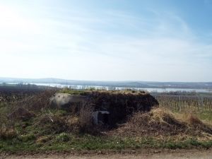 Řopík s výhledem na největší moravský rybník Nesyt stojí u obce Sedlec na Břeclavsku. Vyjde minimálně na 239 tisíc korun. | Foto: Ministerstvo obrany ČR