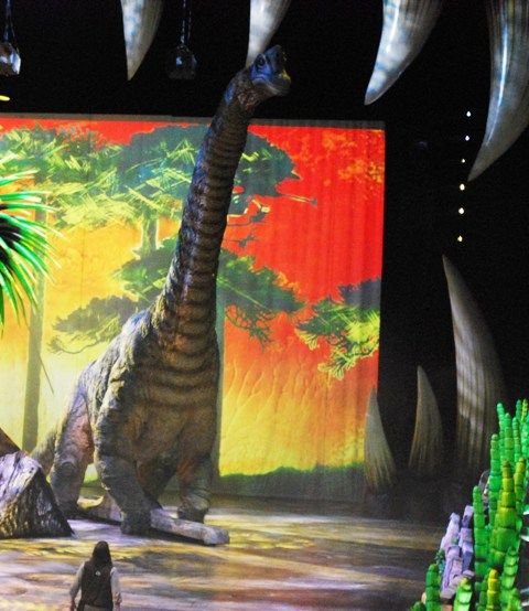 Při srovnání postavy herce, který v představení hraje paleontologa, vynikne ohromující velikost dinosaurů. Ač se jedná o mládě brachiosaura, měří model na výšku 12 metrů | Foto: Radek Pecák