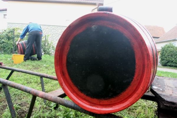 Pokud někdo zvažuje vinohradnictví jako koníčka, je to asi jako s pořízením chalupy. Malý, ne zrovna vzorně udržovaný sklípek se zázemím pro zpracování vína a pokojem pro přespání včetně vinohradu s 350 hlavami vás po známosti a při troše štěstí vyjde na čtvrt milionu. Ti náročnější si musejí připlatit: 18 let starý vinohrad o rozloze 0,4 hektarů ve Valticích byl nedávno k mání za dva a čtvrt milionu. | Foto: Karel Toman