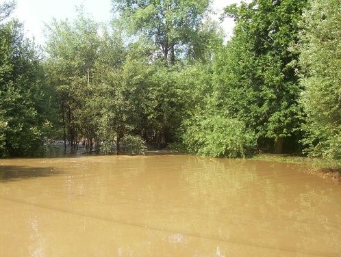 Záběry z obce Brniště - část Hlemýždí v okrese Česká Lípa, sousedící s obcí Lindava | Foto: čtenářka Eva Nováková