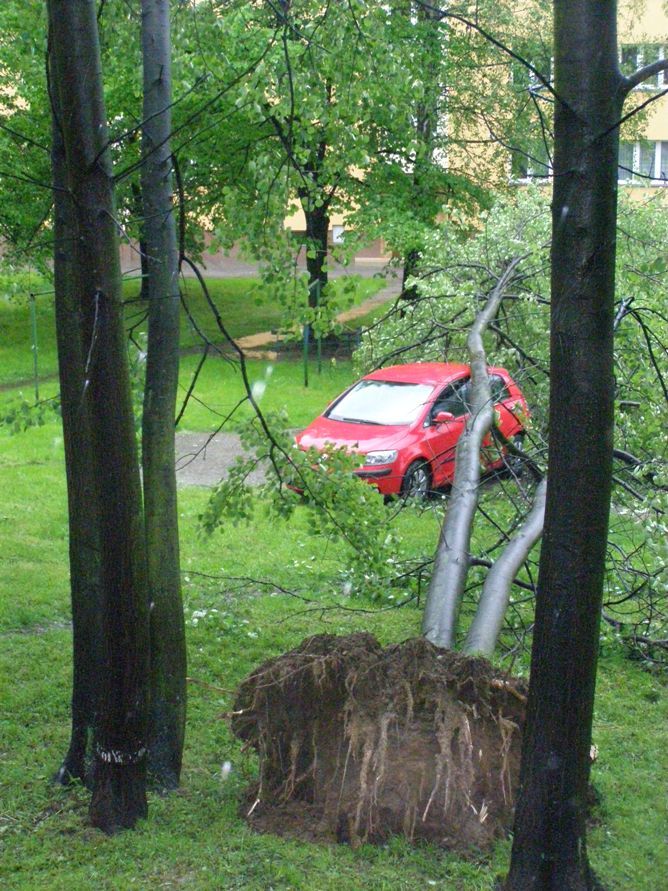 V Karviné padají vlivem povodní a rozmáčené půdy stromy. V tomto případě zničil strom zaparkované auto. | Foto: Dagmar Bartošíková