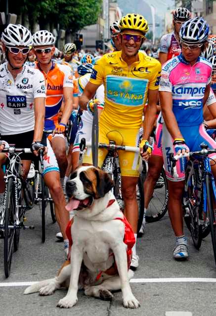 Alberto Contador na startu šestnácté etapy Tour s bernardýnem, symbolem kraje, kterým etapa vedla. | Foto: Reuters