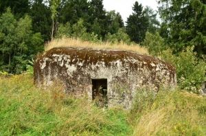 Další dva bunkry k prodeji se nacházejí na louce u okraje lesa dva kilometry severovýchodně od obce Šléglov nedaleko Králického Sněžníku. Součástí koupě není pozemek. Tento bunkr zájemce vyjde nejméně na 38 310 korun. | Foto: Ministerstvo obrany ČR