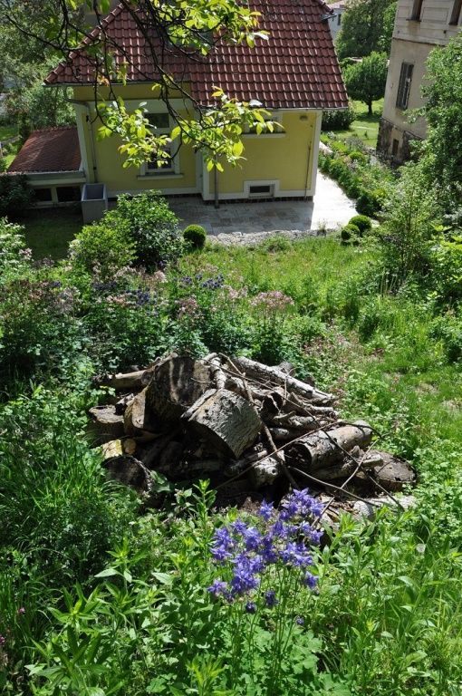 Neformální styl se střídá s formálnějším: Kolem plotu u vstupu jsou skupiny keřů a trvalek, ale do zahrady se prochází (i projíždí) obloukem z hrušní, který zdárně dorůstá. | Foto: Svaz zakládání a údržby zeleně