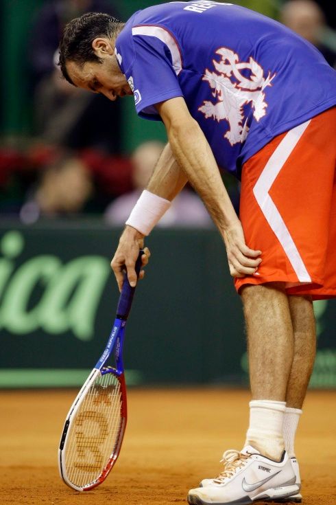 Radek Štěpánek v Davis Cupu | Foto: Reuters