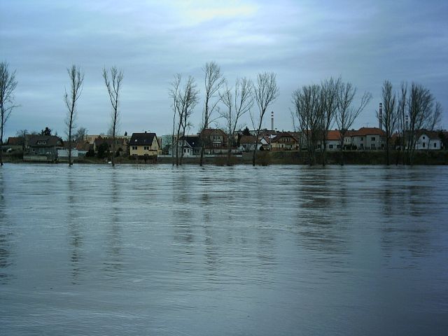 Vltava v Kralupech ve čtvrtek po šesté hodině večerní. | Foto: Jarda Knoška