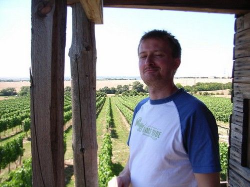 Bobule: Režisér Tomáš Bařina při obhlídkách na moravských vinicích | Foto: Aktuálně.cz