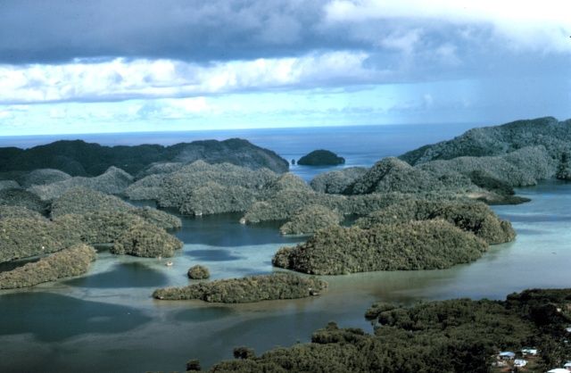 Foto: Reuters, Dr. James P. McVey, NOAA Sea Grant Program