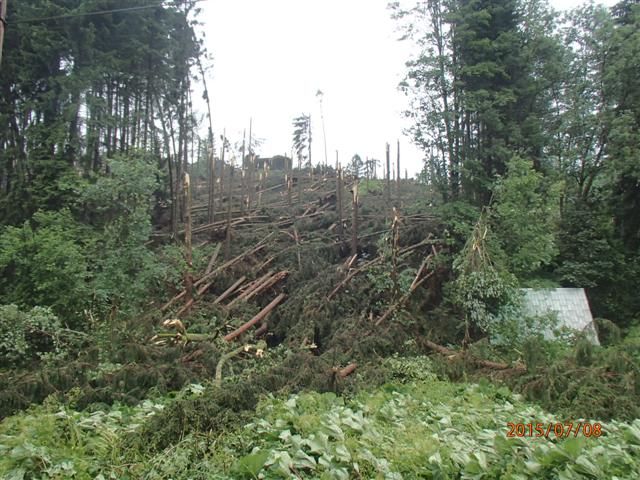 Polámané stromy na Šumpersku. | Foto: HZS Olomouckého kraje