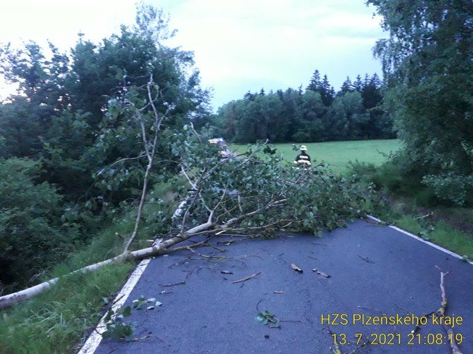 Hasičské jednotky zasahovali nejčastěji u spadaných a vyvrácených stromů. | Foto: HZS Plzeňského kraje