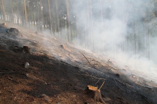 Foto: stanice Rychnov nad Kněžnou