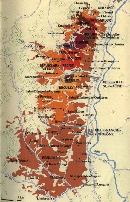 A dělá jí tady. Ve vinařské regionu Beaujolais. | Foto: Aktuálně.cz