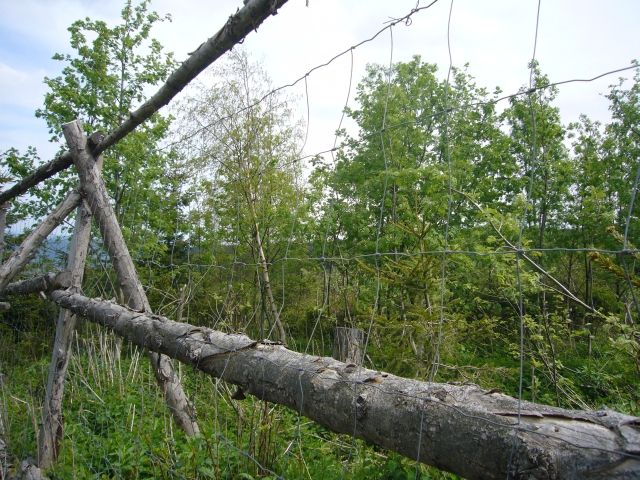 Foto: Pavel Baroch, Aktuálně.cz