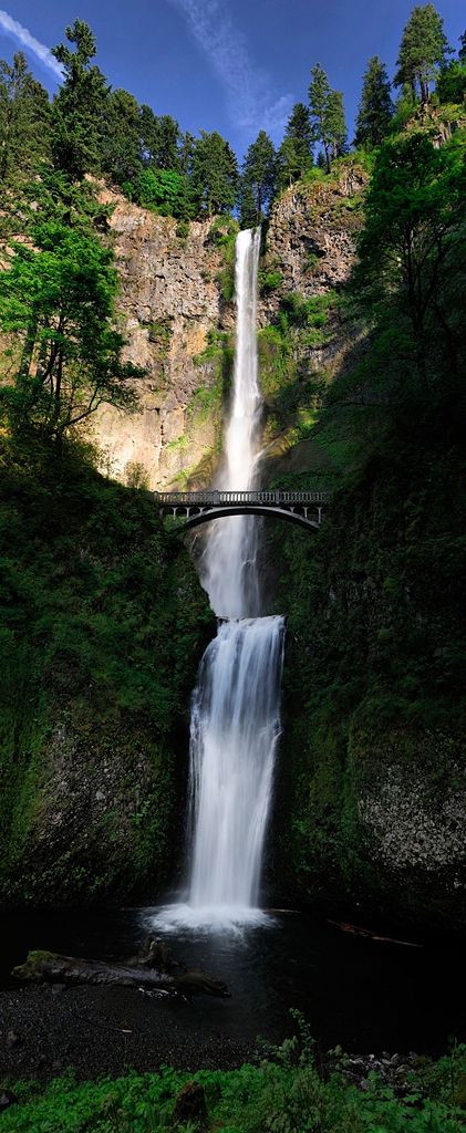 Název : Multnomah   Místo : USA | Foto: Profimédia